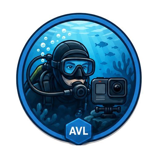 DiveCam Demo